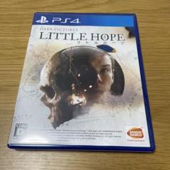【即購入歓迎】ダークピクチャーズ:リトル・ホープ