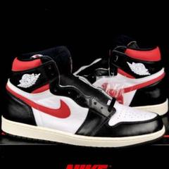 AIR JORDAN ナイキ エアジョーダン1 レトロ ハイ OG "ジムレッド