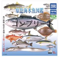 2025年最新】原色海水魚の人気アイテム - メルカリ