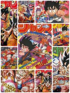ドラゴンボールビジュアルアドベンチャー ドラゴンボールカードダス【２１枚セット】 ドラゴンボールZ カードダス ビジュアルアドベンチャー No.293