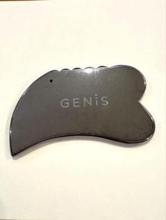 GENiS テラヘルスかっさ ポーチ付き GENiS Professional | 商品詳細