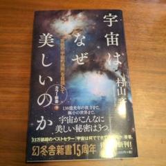 宇宙はなぜ美しいのか : 究極の「宇宙の法則」を目指して