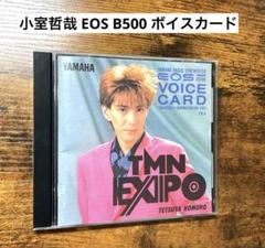 【超希少】VOICE CARD RCD1000 小室哲哉 ヤマハ EOS VOICE CARD RCD1000 小室哲哉 YAMAHA ヤマハ EOS EOS ボイス