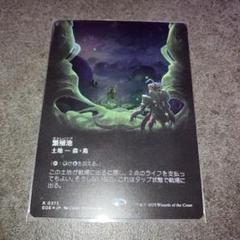 繁殖池　ギャラクシーfoil ボーダーレス　1枚　MTG 日本語