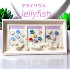 シーグラスアート❣️クラゲリウム　クラゲ3種　アクアリウム　海の贈り物