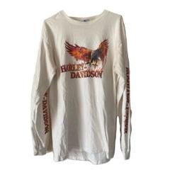 最旬トレンドパンツ レア】2002年ハーレーダビッドソンロンT袖プリ炎 トップス