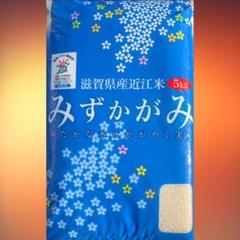 限定★令和元年産★近江米★みずかがみ5kg×2★3,920円★白米★特別栽培米