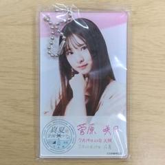 2025年最新】菅原咲月アクリルキーホルダーの人気アイテム