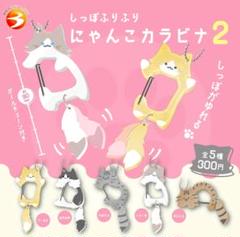 メルカリで本日中に売れなければ300円❗「はるが来たニャンコ」 メルカリで本日中に売れなければ300円❗「はるが来たニャンコ」