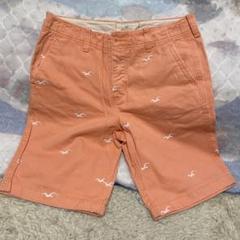 Hollister オレンジショートMサイズ 31 白色カモメ総刺繍　ホリスター