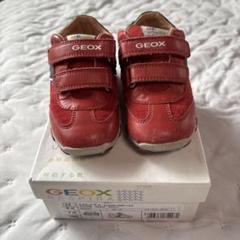 GEOX キッズ　レザー　スニーカー　箱無し割引