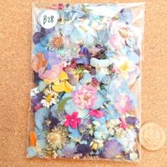 Ｂ28/訳ありドライフラワー押し花 花材 詰め合わせのサムネイル