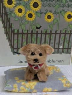 モールアート　犬　マルプー　トイプー　　ドールハウス　北欧暮らしの道具店