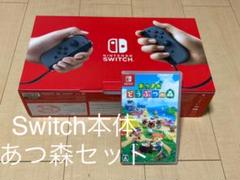 Nintendo Switch 本体 + あつまれどうぶつの森セット