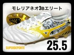 モレリアネオIV β SR4 JAPAN(サッカー／フットボール)|P1GA2498
