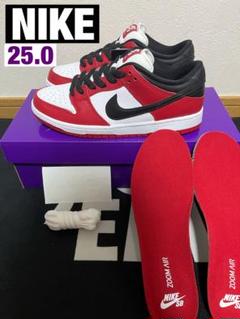 【新品未使用】NIKE DUNK LOW PRO 25.0