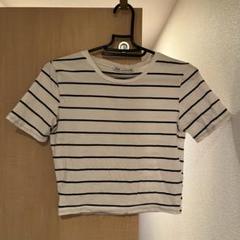 ZARA ザラ　ストライプ 半袖クロップドTシャツ　腹見せ　スポーツウェアに♪のサムネイル
