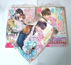 【シュリンク付・新品未読品・特典１枚付】角川ビーズログ文庫　2冊セット