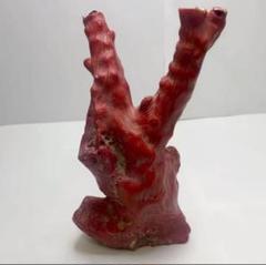 山珊瑚 サンゴ 枝 置物 オブジェ 総重量約1096g 高さ22cm