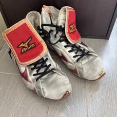 Mizuno ボクシングシューズ シルバー/レッド 楽天市場】ミズノ ボクシングシューズ イージースペクトラ 76