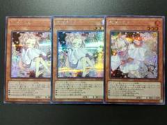 遊戯王 灰流うらら シークレット 3枚