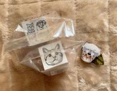 岩合光昭 スタンプの中古/未使用品 - メルカリ 岩合光昭 スタンプの中古/未使用品 - メルカリ