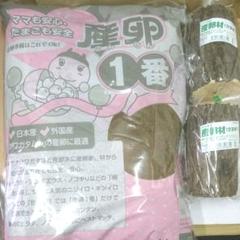 クワガタ用マット 産卵材
