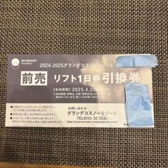 グランデコ スノーリゾート リフト券 2024-2025 4枚 セット スキー場