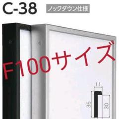 アルフレーム C38 F100号サイズ