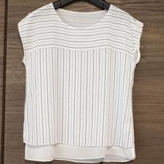 INDIVI ストライプ柄すそティアードシフォンブラウス