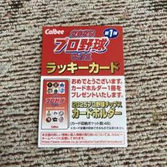 Calbee 2025プロ野球チップスラッキーカード カルビー 限定