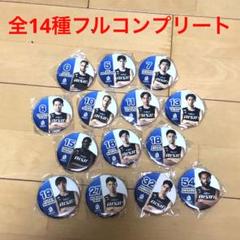 新品 非売品 Bリーグ シーホース三河 缶バッジ 14種 コンプリート