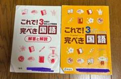 3年間の総仕上げ問題集　これで完ぺき　国語
