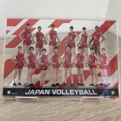 アクリルパネル　アクリルスタンド　女子バレー日本代表