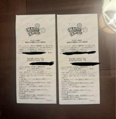 11/14 ランド ハッピーエントリー 1枚 公式】ディズニーホテル宿泊者特典「ハッピーエントリー