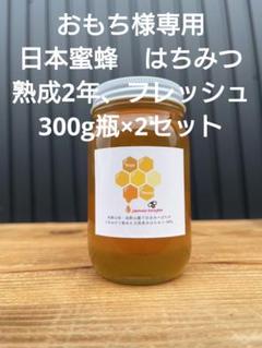 熟成2年、フレッシュ日本ミツバチ はちみつ600g(Y1Y2箱)(S3Y0箱