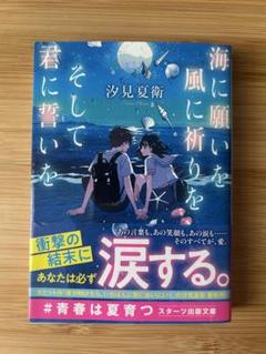 海に願いを風に祈りを君に誓いた