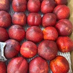 信州産 新鮮 ネクタリン 桃 1kg #cのサムネイル