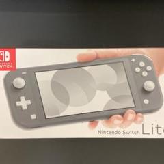 Nintendo Switch NINTENDO SWITCH LITE グレー