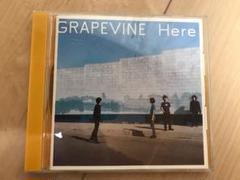 グレイプバイン GRAPEVINE Here レコード アナログ Amazon.co.jp: Here - GRAPEVINE: ミュージック
