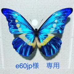 m96866176827_1.jpg?1636809084