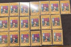 ハイプリーテス 初期8枚2期11枚
