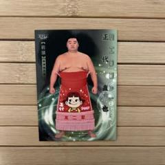 【レア物】大相撲グッズ【未使用品】 楽天市場】大鵬幸喜関 優勝ミニ額 大相撲ミニ額 大相撲優勝額