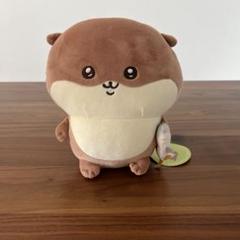 新品未使用 ナガノのカワウソ ぬいぐるみくじC賞ぬいぐるみS