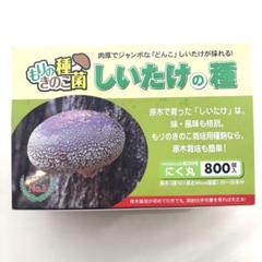 しいたけ種駒菌 1000個×2箱計2000個