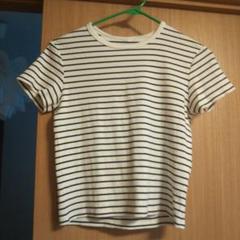 ユニクロ ソフトリブミニTシャツ ソフト リブ ミニ t シャツ ボーダー 白