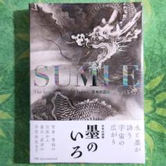 大幅掛軸 周玄『貢品 中国青緑山水 着色水墨画』大立軸 絹本 肉筆 箱付 掛け軸 2025年最新】中国画 掛軸の人気アイテム - メルカリ