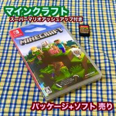 マインクラフト スーパーマリオマッシュアップ付き ソフト