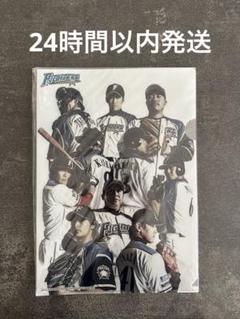 【未使用未開封】2013年日本ハムFighters クリアファイル