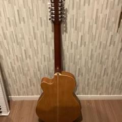 最終値下げ⭐︎生産終了品⭐︎エレアコ♪ARIA FET-STD BLS 楽天市場】【10％OFF-セール対象商品】アリア Aria エレアコ